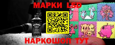 стаф Баксан