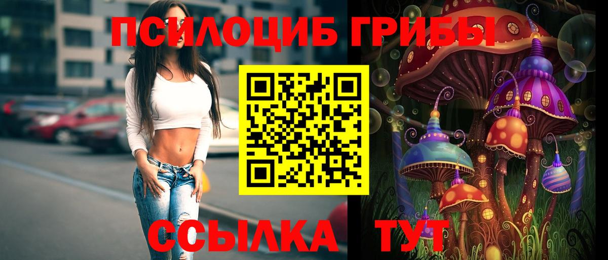 Крымск  Псилоцибиновые грибы Cubensis  Вход с VPN 