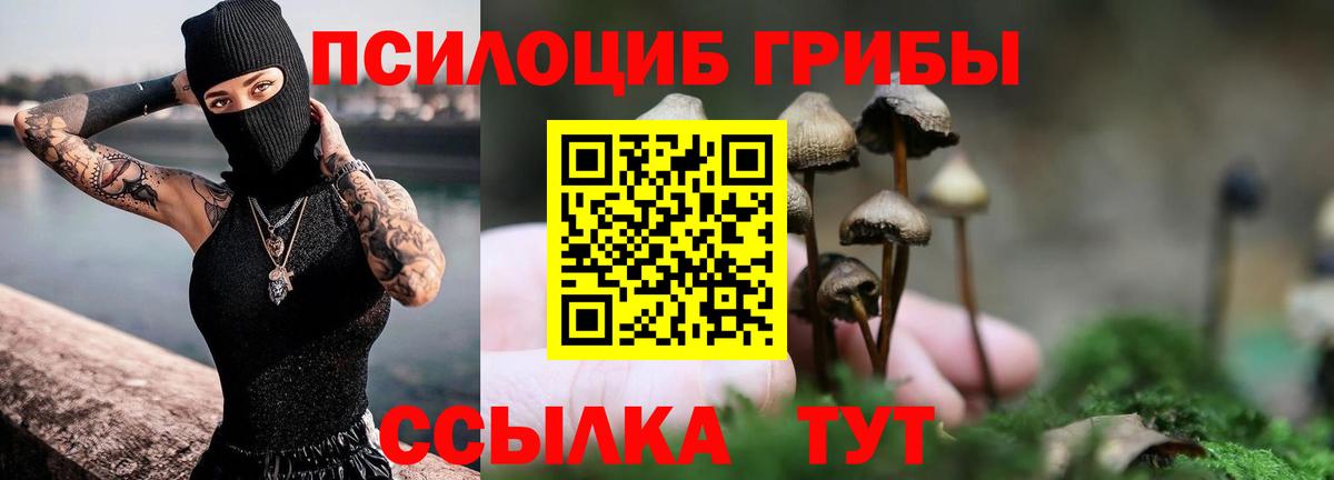 Галлюциногенные грибы Psilocybe Крымск